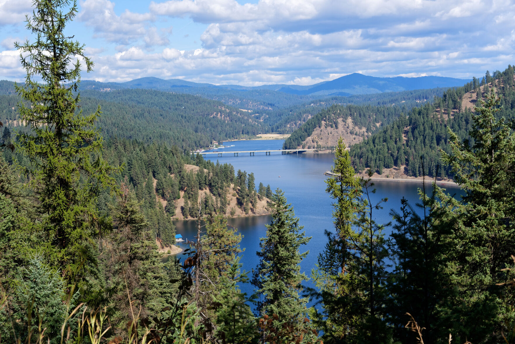 1. Sample Idaho lake life